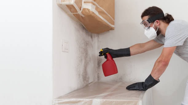 Professional Mold Remediation technician working in West Islip, NY