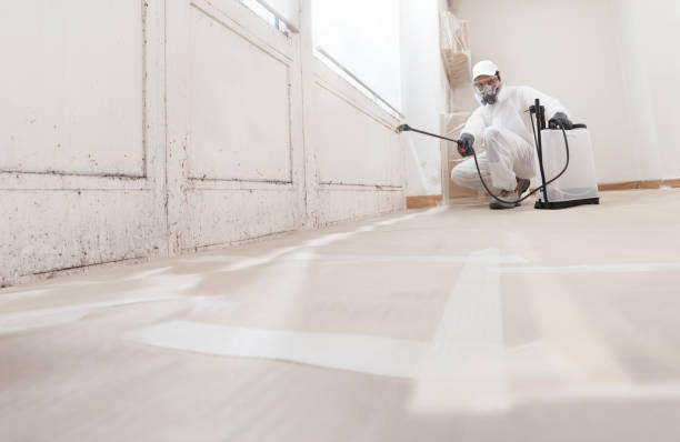 24/7 Emergency Mold Remediation experts in West Islip, NY